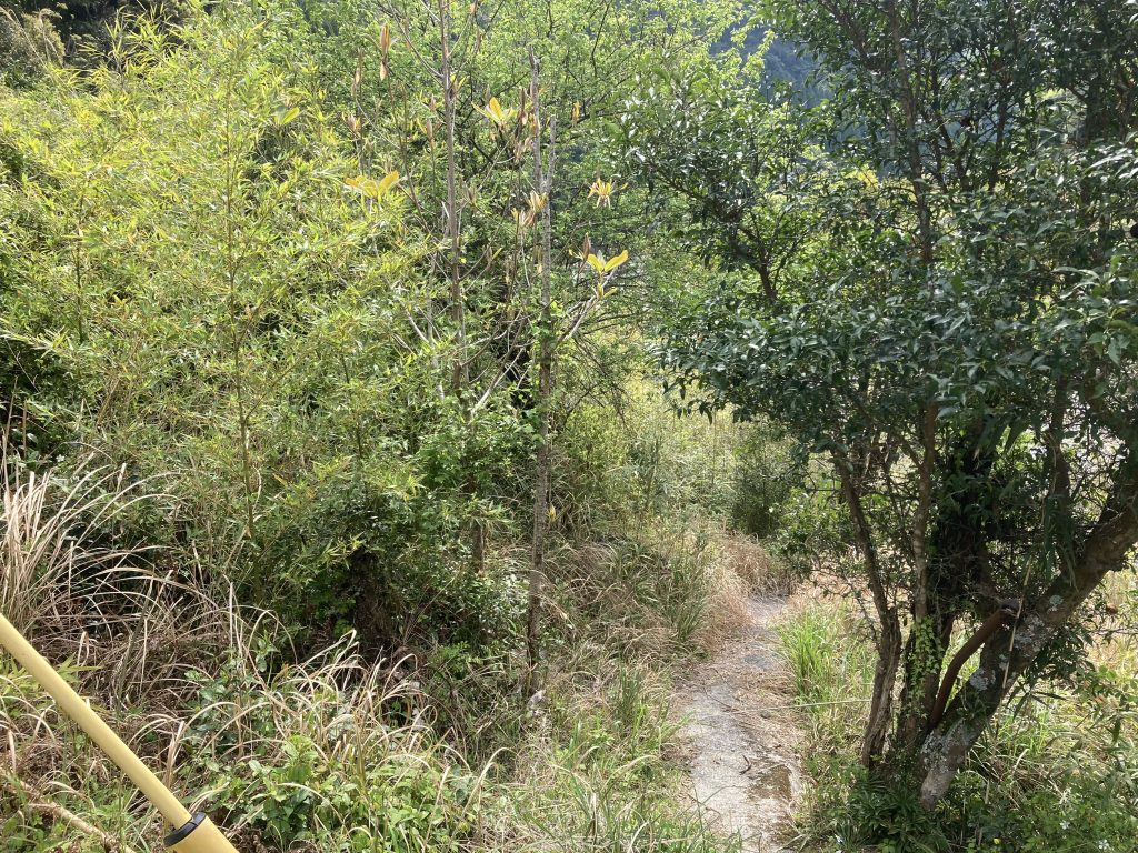 detached 日之影町大字七折5548番地5